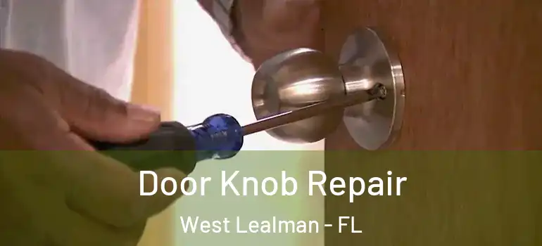  Door Knob Repair West Lealman - FL
