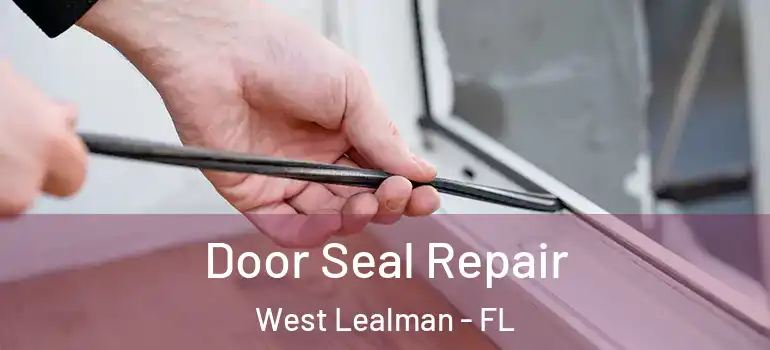  Door Seal Repair West Lealman - FL
