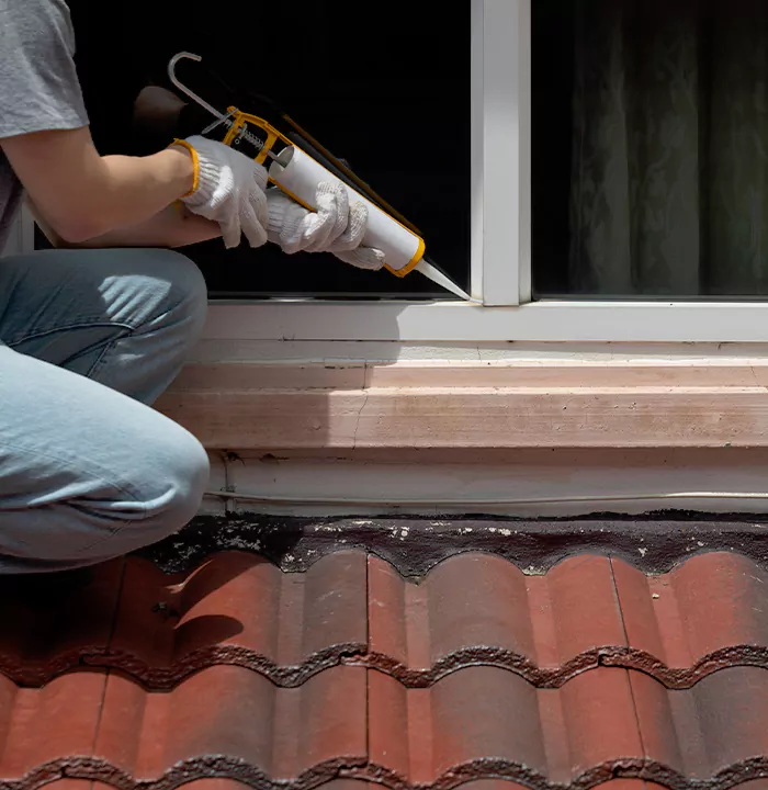 Roof Window Services in West Lealman, Florida