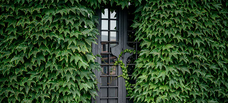 Garden Gate Repair in West Lealman, FL