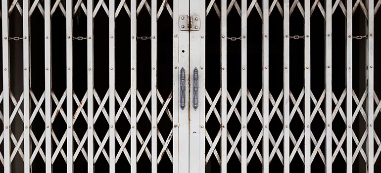 Steel Line Garage Door Repairs in West Lealman, FL