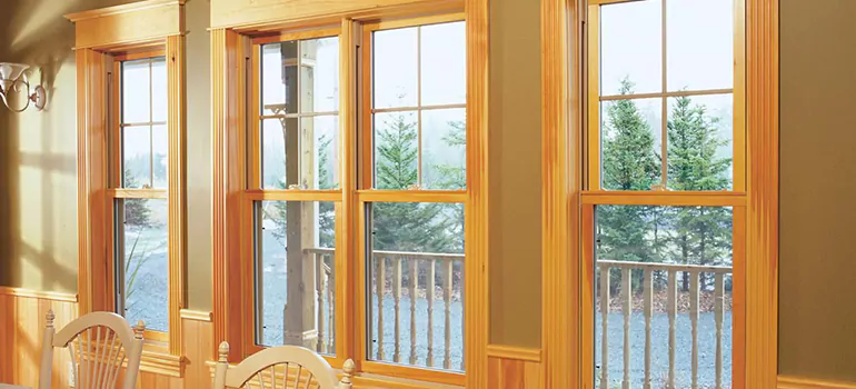 Government Incentives For Replacement Windows in West Lealman, FL