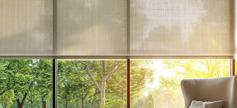 Custom Window Shades in West Lealman, FL