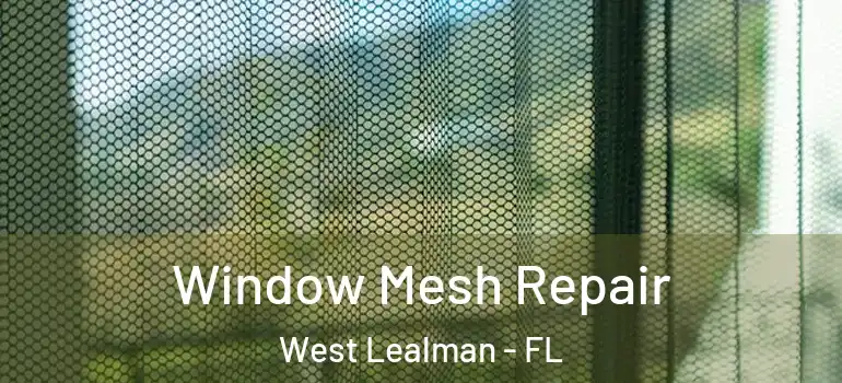  Window Mesh Repair West Lealman - FL
