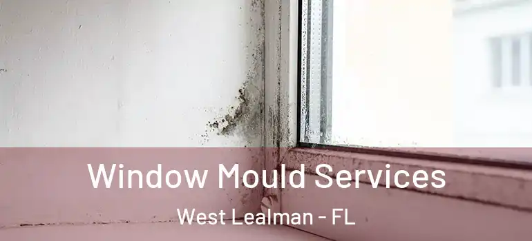  Window Mould Services West Lealman - FL