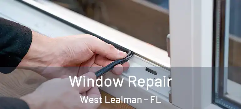  Window Repair West Lealman - FL
