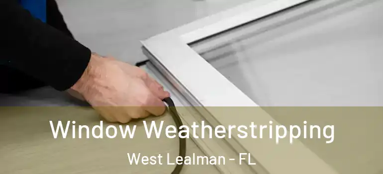  Window Weatherstripping West Lealman - FL